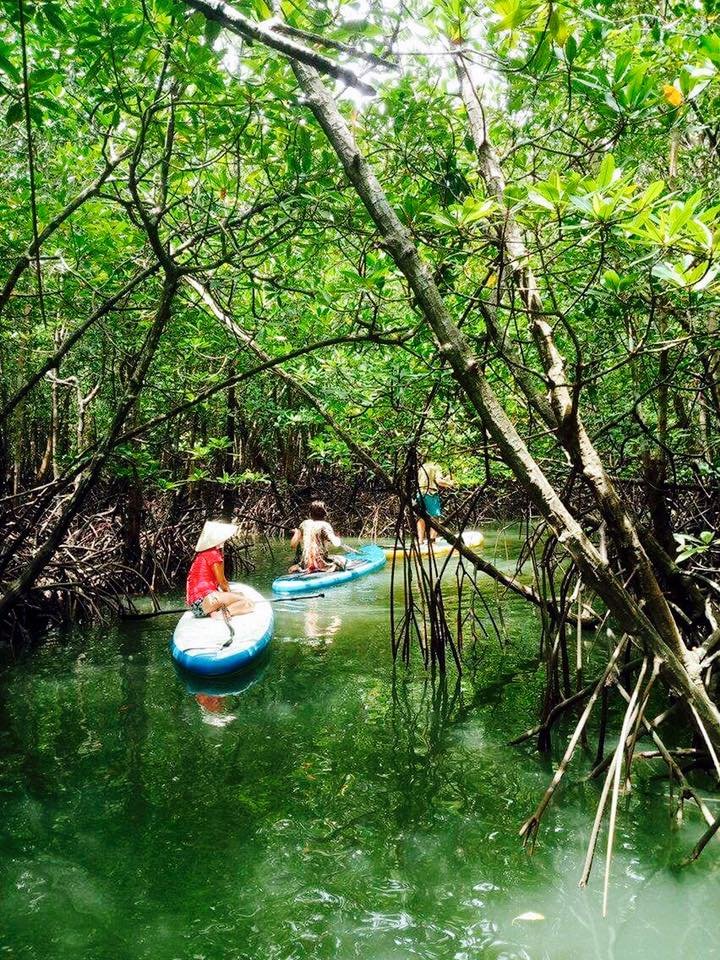 Irklenčių turas po mangruves koh lanta saloje