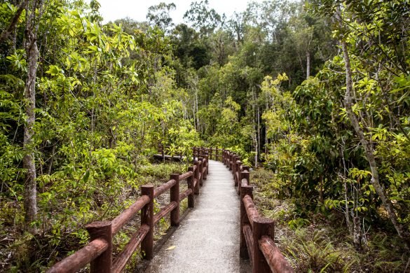 krabi emeraldiniai baseinai kelias