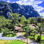 Our Jungle Camp - Eco Resort