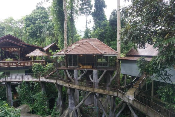Rock And Tree House Resort